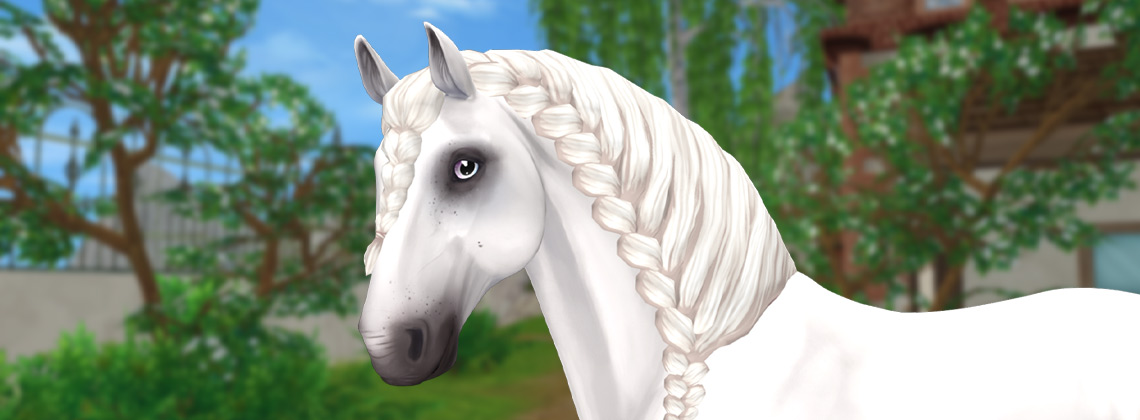 The latest news from the horse game Star Stable Online! | Star Stable