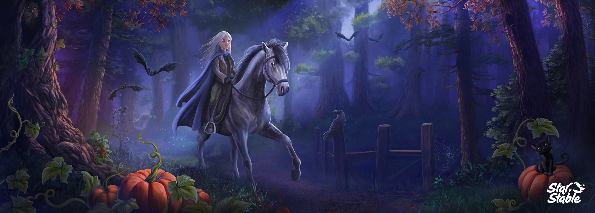 Free desktop wallpapers and backgrounds Star Stable. 