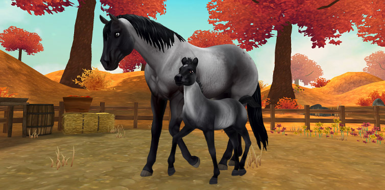 star stable google play