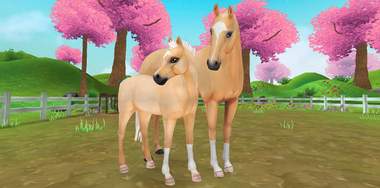 Ugliest Horses In Star Stable