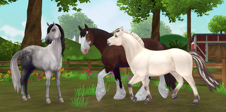 Обновление Star Stable Horses! Apphorsesnov19