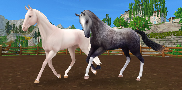 Три великолепные ахалтекинские лошади! Akhalteke397