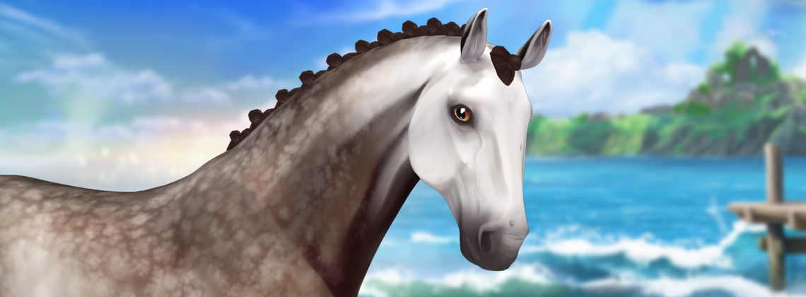 The updated Andalusian | Star Stable