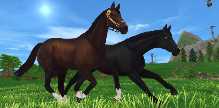 19+ Sso most expensive horse info
