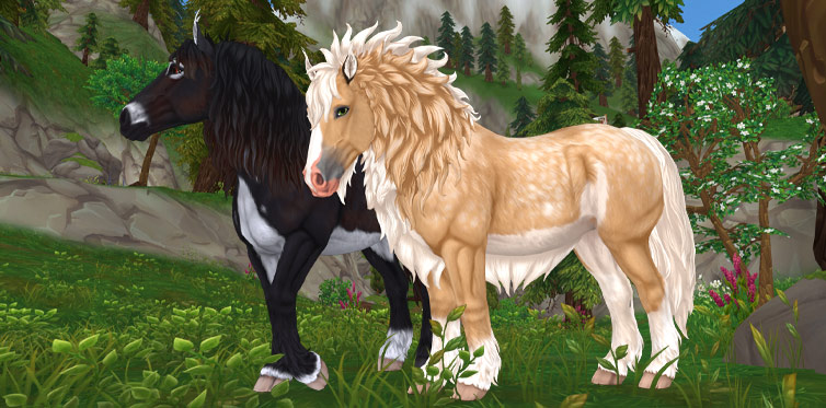 How could anyone resist one of these special horses?