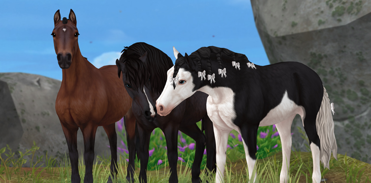 Which gotland pony will you explore with?