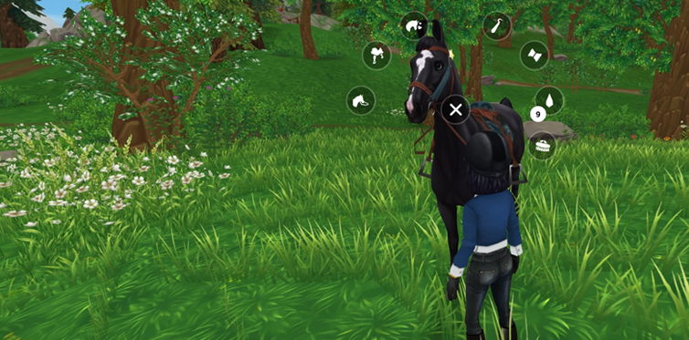 Klicke den Kopf deines Pferdes an, um das Menü zur Pferdepflege zu öffnen.