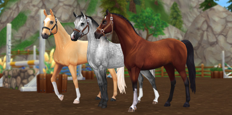 These horses are ready to race!