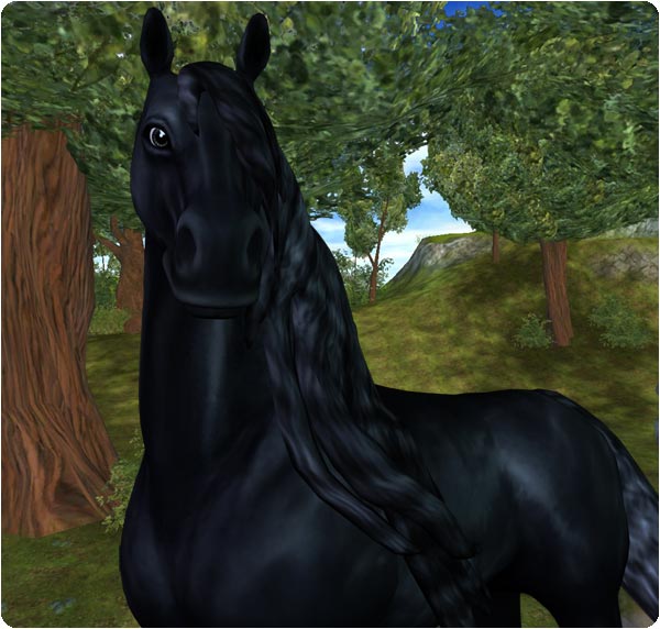 Friesian Horse Coming Up Star Stable