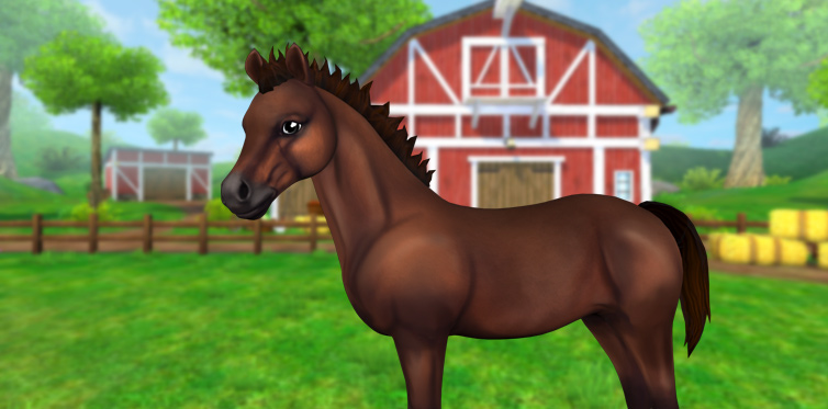 Tell us about your #StarStableHorses dream foals!