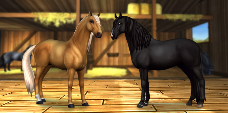 49+ Star stable horse shoe locations 2020 info