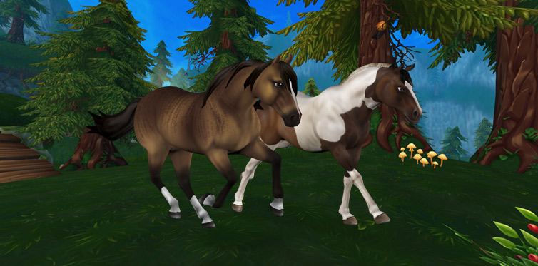 50% extra Star Coins with every purchase! | Star Stable